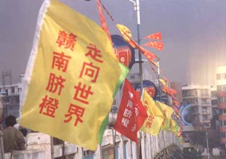 &#20048;&#31454;&#23448;&#32593;&#45;&#20048;&#31454;&#40;&#20013;&#22269;&#41;&#19968;&#31449;&#24335;&#20307;&#32946;&#26381;&#21153;